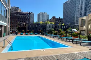 21 W Goethe St, Chicago, IL 60610 - Photo 44