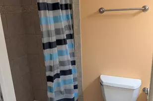 435 E 42nd St, Chicago, IL 60653 - Photo 10
