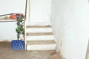 7712 S Ridgeland Ave, Chicago, IL 60649 - Photo 44