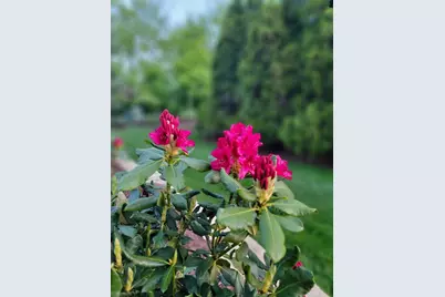 1839 Brower Place, Sycamore, IL 60178 - Photo 38