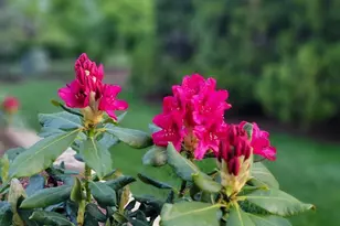 1839 Brower Pl, Sycamore, IL 60178 - Photo 38