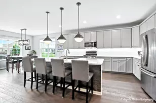 1855 Alta Dr, Volo, IL 60020 - Photo 22