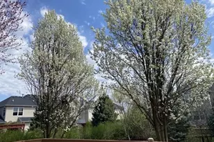 628 Ebony Dr, Oswego, IL 60543 - Photo 34