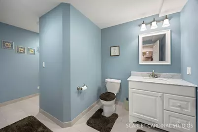 628 Ebony Drive, Oswego, IL 60543 - Photo 32