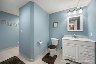 628 Ebony Dr, Oswego, IL 60543 - Photo 32