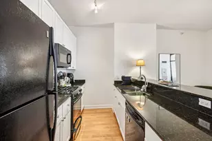 233 E 13th St, Chicago, IL 60605 - Photo 8
