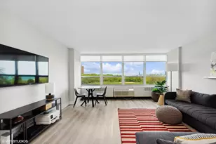 4800 S Chicago Beach Dr, Chicago, IL 60615 - Photo 6