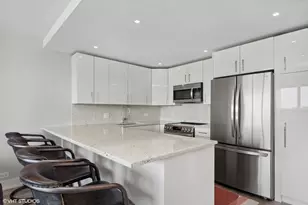 4800 S Chicago Beach Dr, Chicago, IL 60615 - Photo 8