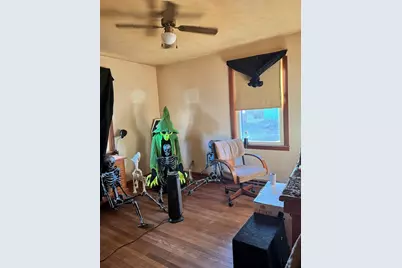 704 S Park Avenue, Lamoille, IL 61330 - Photo 8