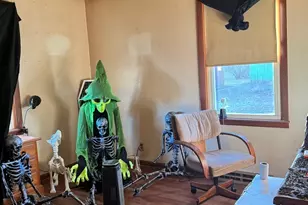 704 S Park Ave, Lamoille, IL 61330 - Photo 8