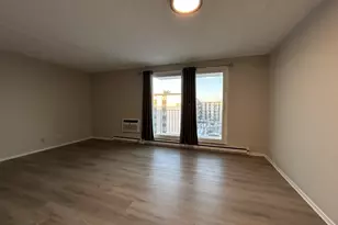 9731 N Fox Glen Dr, Niles, IL 60714 - Photo 14