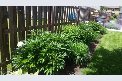 533 Glen Avenue, Romeoville, IL 60446 - Photo 48