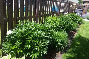 533 Glen Ave, Romeoville, IL 60446 - Photo 48