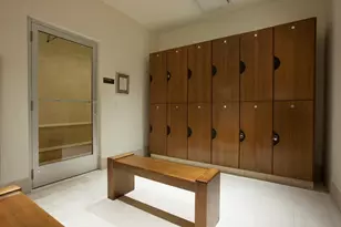 159 E Walton Pl, Chicago, IL 60611 - Photo 34