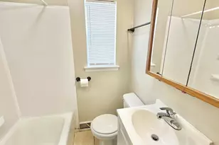 15031 Hamlin Ave, Midlothian, IL 60445 - Photo 6