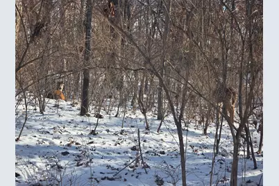 110 W Fork Road, Dixon, IL 61021 - Photo 4