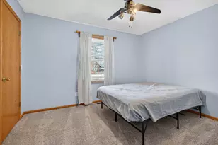 295 Vita Ln, Braidwood, IL 60408 - Photo 28