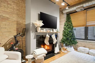 375 W Erie Street #323, Chicago, IL 60654 - Photo 4