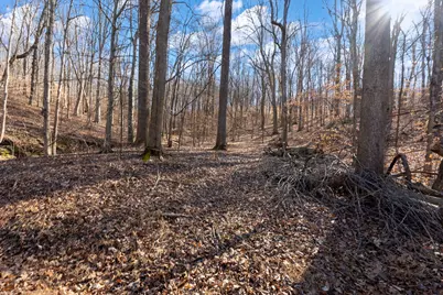 0000 Wilderness Retreat Road, Jonesboro, IL 62952 - Photo 80