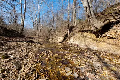0000 Wilderness Retreat Road, Jonesboro, IL 62952 - Photo 60
