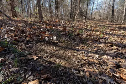 0000 Wilderness Retreat Road, Jonesboro, IL 62952 - Photo 78