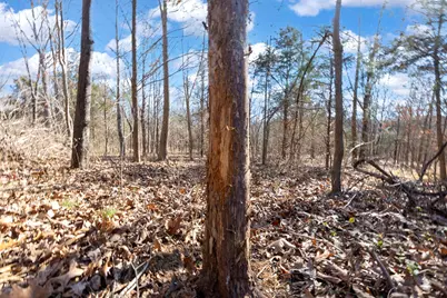 0000 Wilderness Retreat Road, Jonesboro, IL 62952 - Photo 74