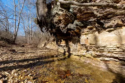 0000 Wilderness Retreat Road, Jonesboro, IL 62952 - Photo 62