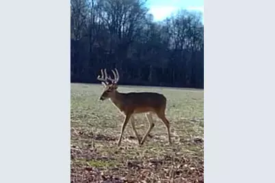 0000 Wilderness Retreat Road, Jonesboro, IL 62952 - Photo 88