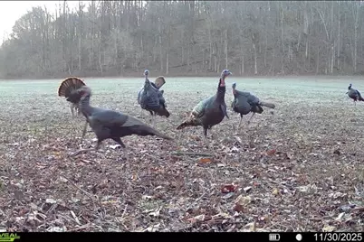 0000 Wilderness Retreat Road, Jonesboro, IL 62952 - Photo 84