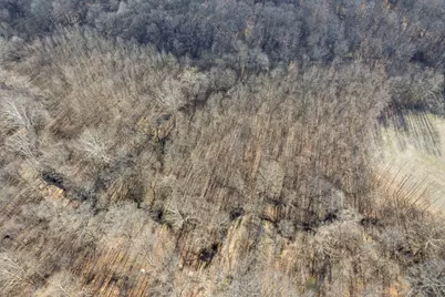 0000 Wilderness Retreat Road, Jonesboro, IL 62952 - Photo 18