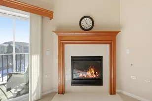 [Address not provided], Tinley Park, IL 60477 - Photo 18