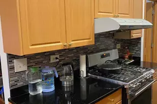 723 W 31st St, Chicago, IL 60616 - Photo 6