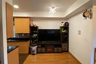 723 W 31st St, Chicago, IL 60616 - Photo 2