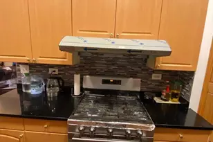 723 W 31st St, Chicago, IL 60616 - Photo 8