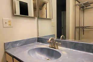 325 Satinwood Ct S, Buffalo Grove, IL 60089 - Photo 16