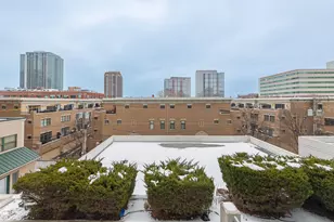 1819 S Michigan Ave, Chicago, IL 60616 - Photo 20