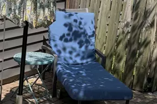 332 Evergreen Dr, Batavia, IL 60510 - Photo 36