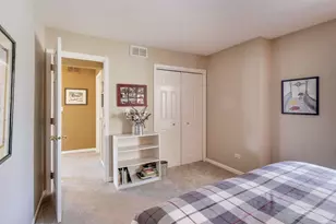 11144 Indian Woods Dr, Indian Head Park, IL 60525 - Photo 22