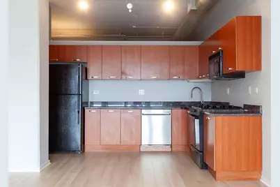 212 E Cullerton Street #410, Chicago, IL 60616 - Photo 4