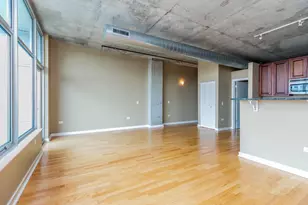 50 E 16th St, Chicago, IL 60616 - Photo 6