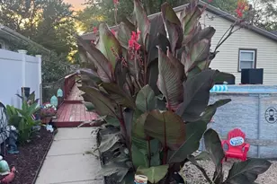 165 S Madison Ave, Bradley, IL 60915 - Photo 22