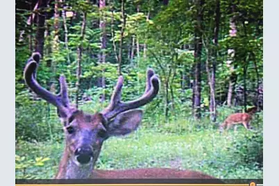 9576 State Route 161 Extension, Iuka, IL 62849 - Photo 16