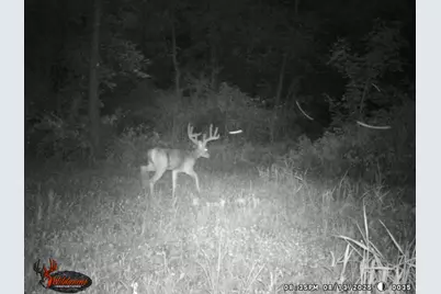 9576 State Route 161 Extension, Iuka, IL 62849 - Photo 26