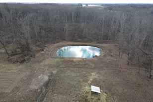 9576 State Rte 161 Ext, Iuka, IL 62849 - Photo 28