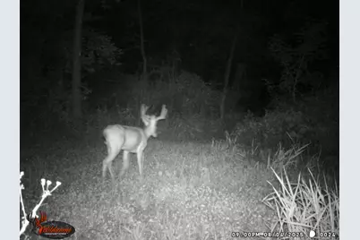 9576 State Route 161 Extension, Iuka, IL 62849 - Photo 24