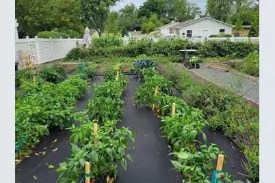 404 Caesar Drive, Barrington Hills, IL 60010 - Photo 48