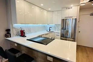 88 W Schiller St, Chicago, IL 60610 - Photo 8