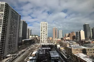 88 W Schiller St, Chicago, IL 60610 - Photo 20