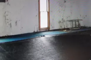 465 Tipple Rd, Carrier Mills, IL 62917 - Photo 8