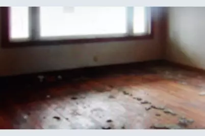 465 Tipple Road, Carrier Mills, IL 62917 - Photo 2